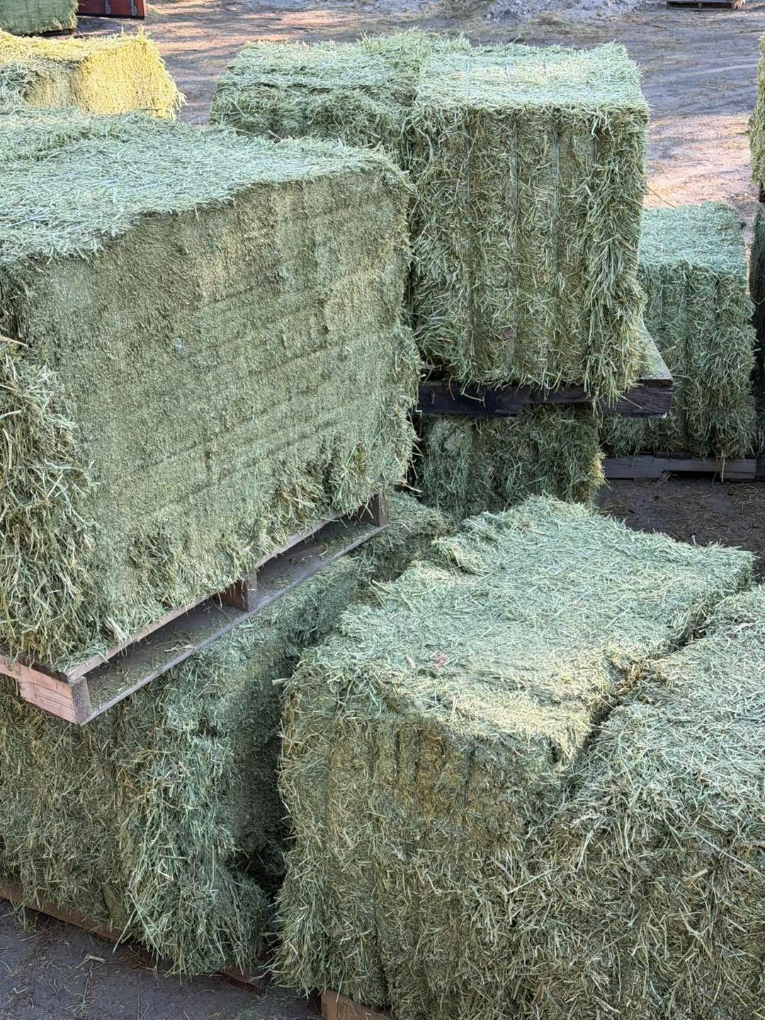 My Hay Guy - South Florida hay delivery