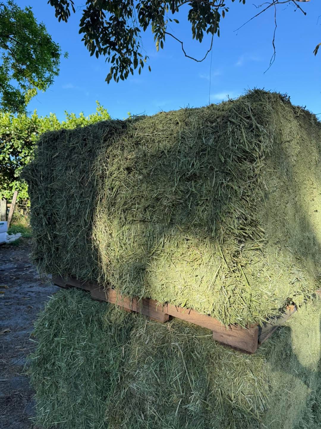 My Hay Guy - South Florida hay delivery
