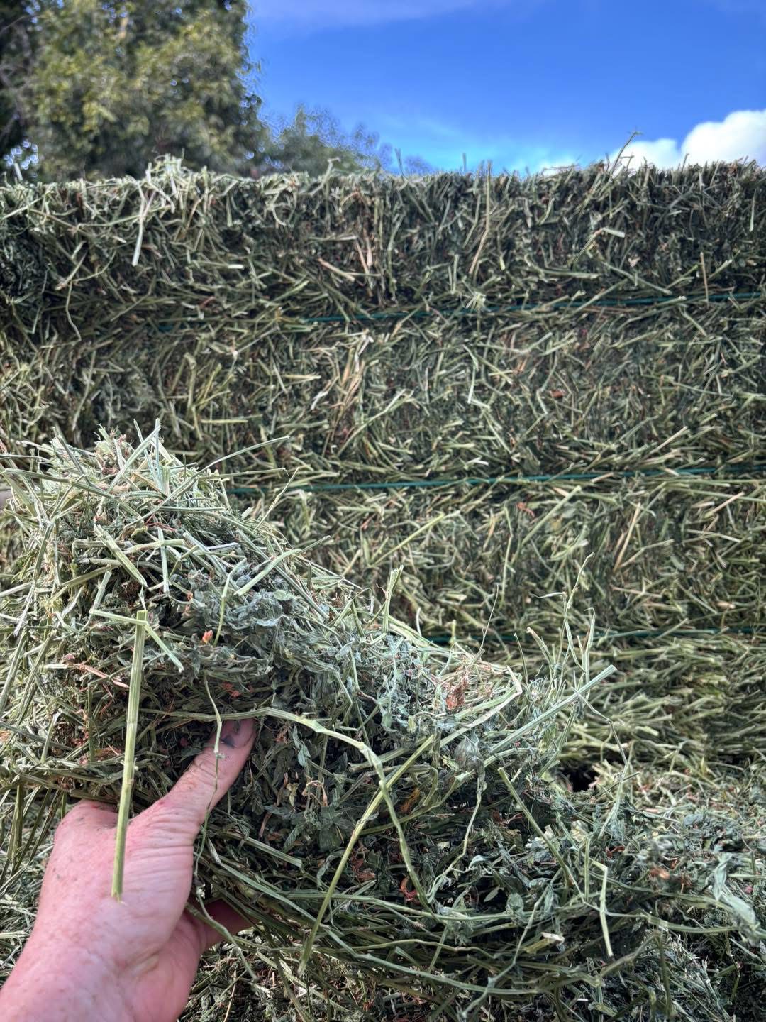My Hay Guy - South Florida hay delivery