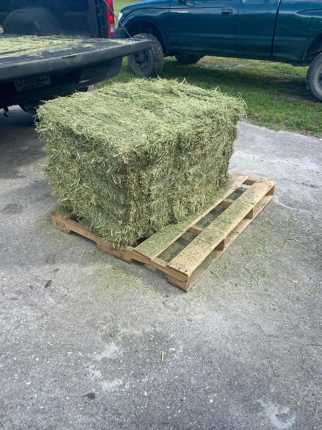 Quality hay products