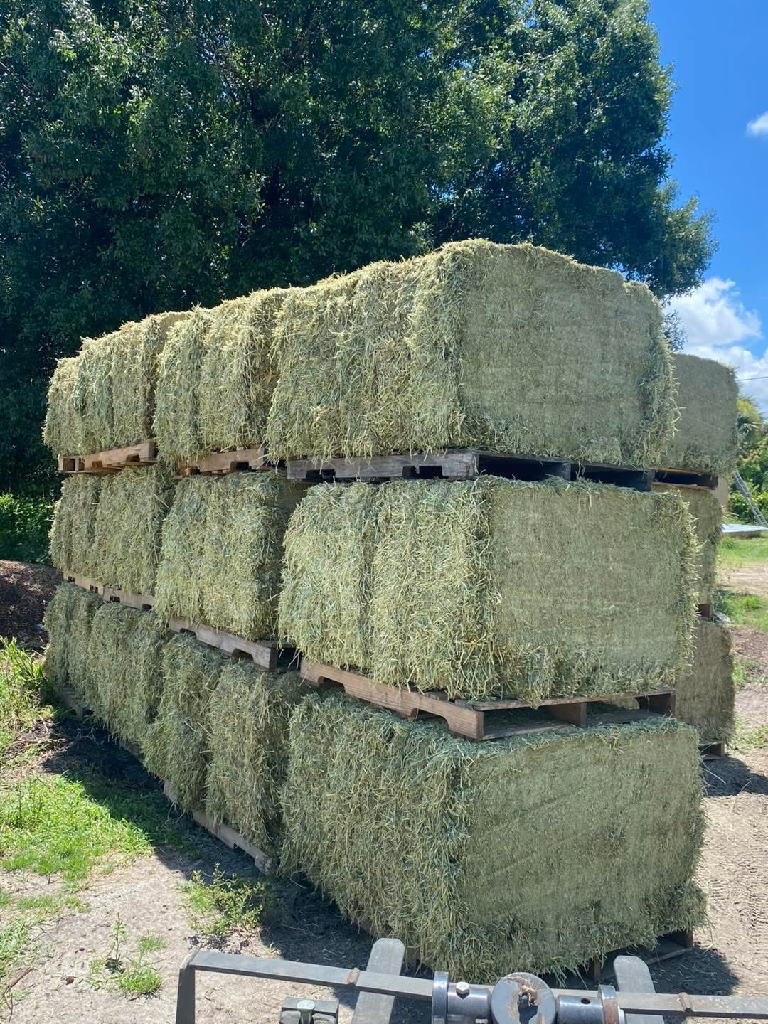 Quality hay products