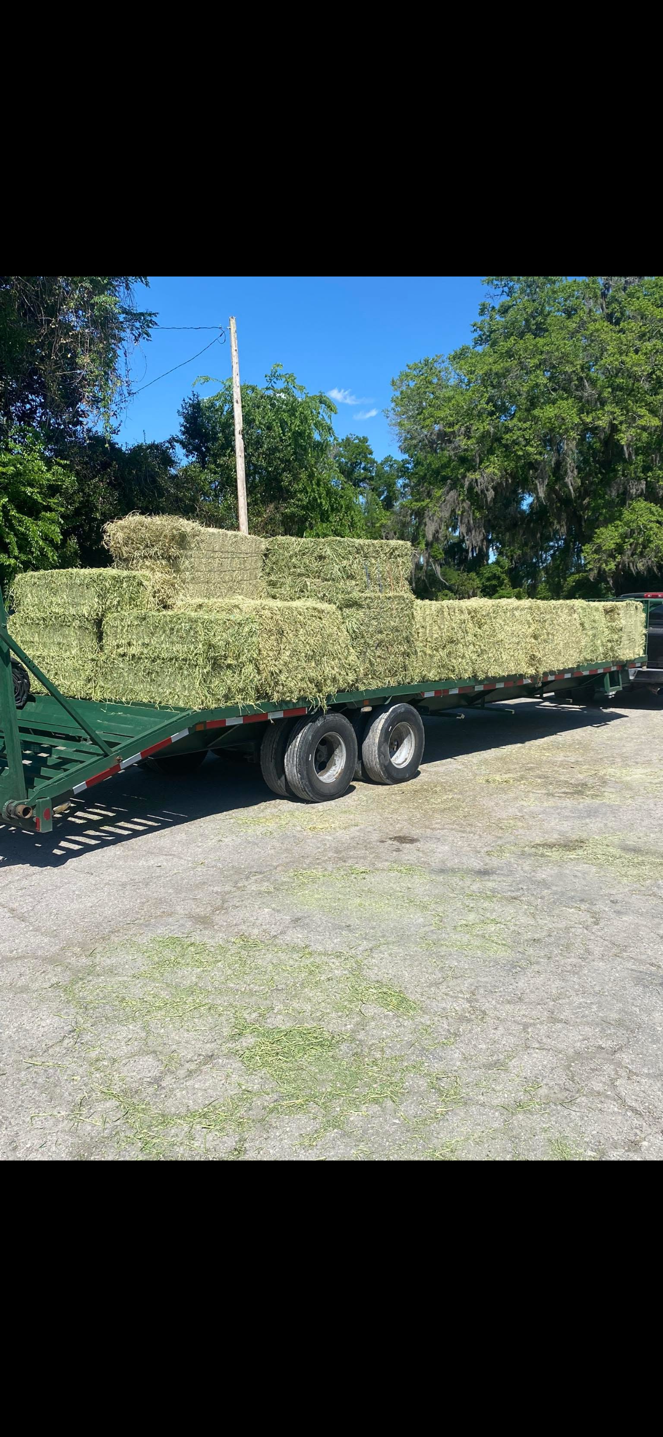Quality hay products