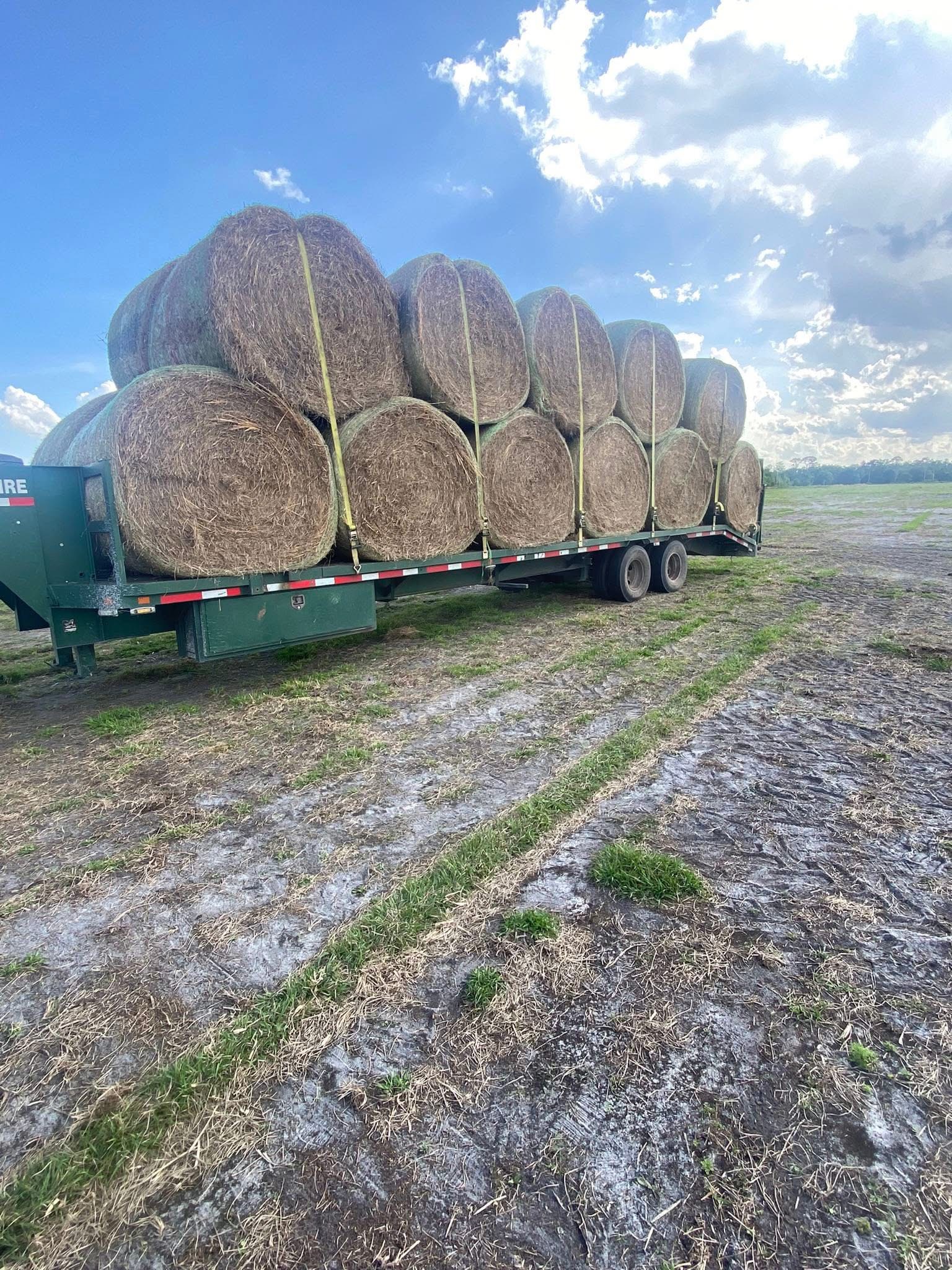 Rolls - My Hay Guy